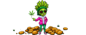 dopema about
