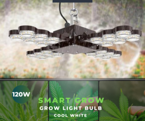 120W/220W Led Grow Light (Folding Wings)