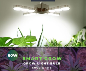 60W LED Grow Light (Folding Wings)