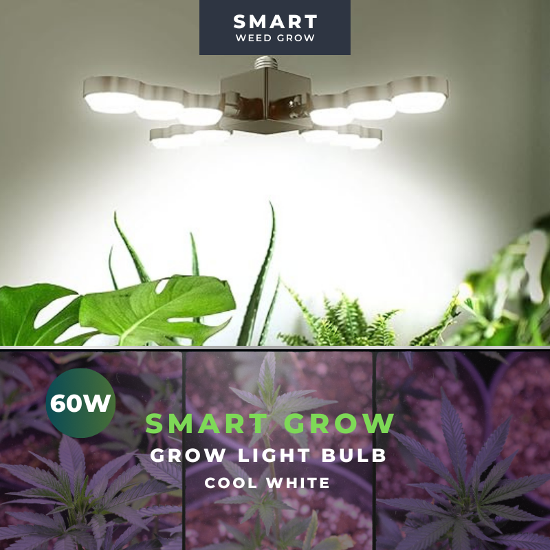 60W LED Grow Light (Folding Wings)